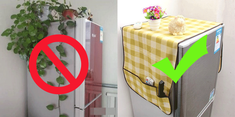 Nên chọn những chậu cây giả nhỏ, gọn nếu muốn trang trí cho tủ lạnh để phù hợp với phong thủy nhà bếp 